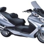 Suzuki Burgmann AN650