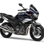 Yamaha TDM 900 RN18