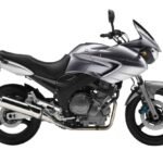 Yamaha TDM 900 RN08