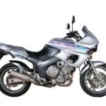Yamaha TDM 850 3VD