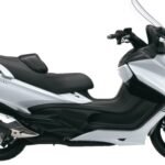 Suzuki Burgmann AN650
