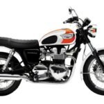 Triumph Bonneville T100 Vergaser