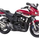 Yamaha FZS 600 RJ02
